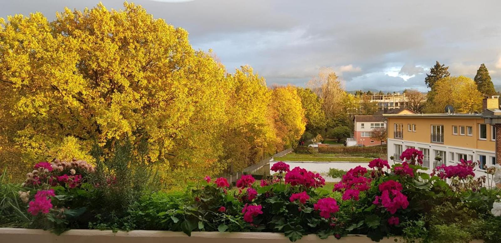 Mariaprimavera Apartment Am Kurpark Mit Schwarzwaldblick * * * * บาดโครซิงเงน ภายนอก รูปภาพ