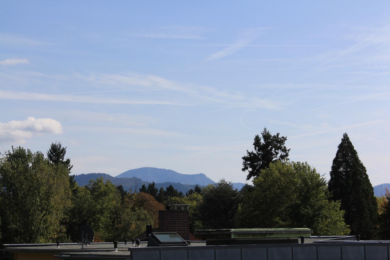Mariaprimavera Apartment Am Kurpark Mit Schwarzwaldblick * * * * บาดโครซิงเงน ภายนอก รูปภาพ
